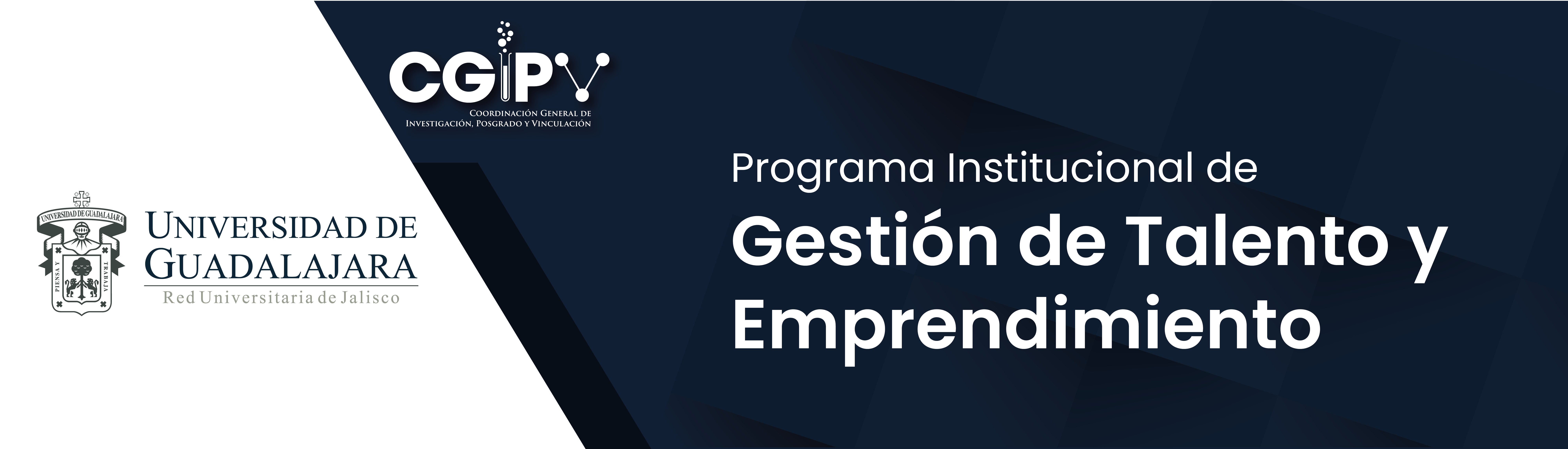 Banners CGIPV 2021 - SW-01