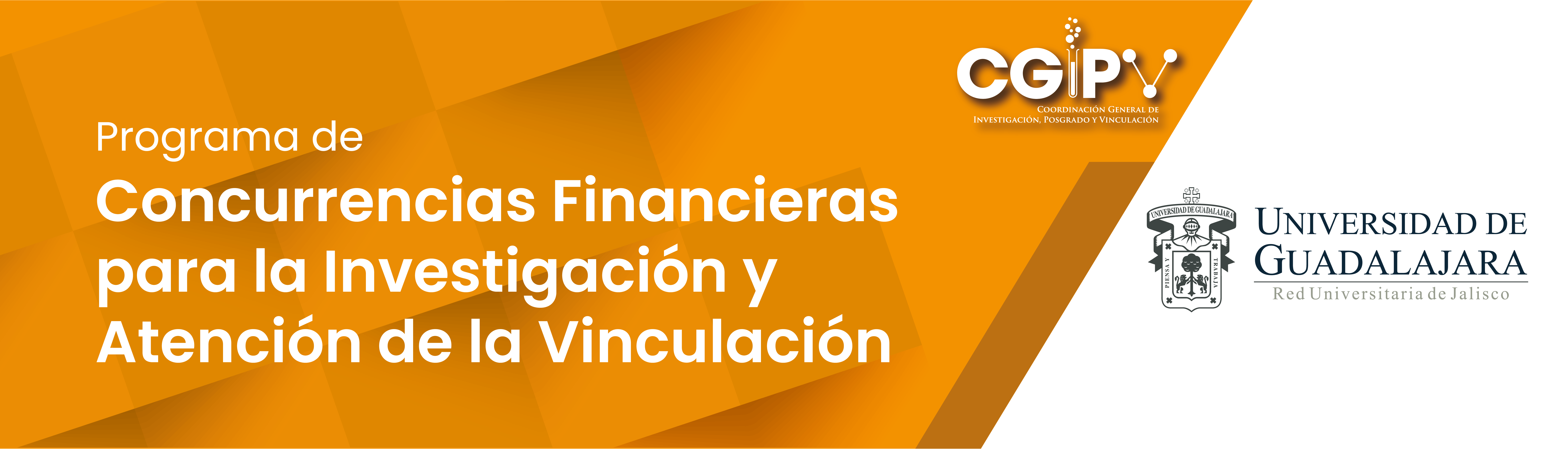 Banners CGIPV 2021 - SW-07