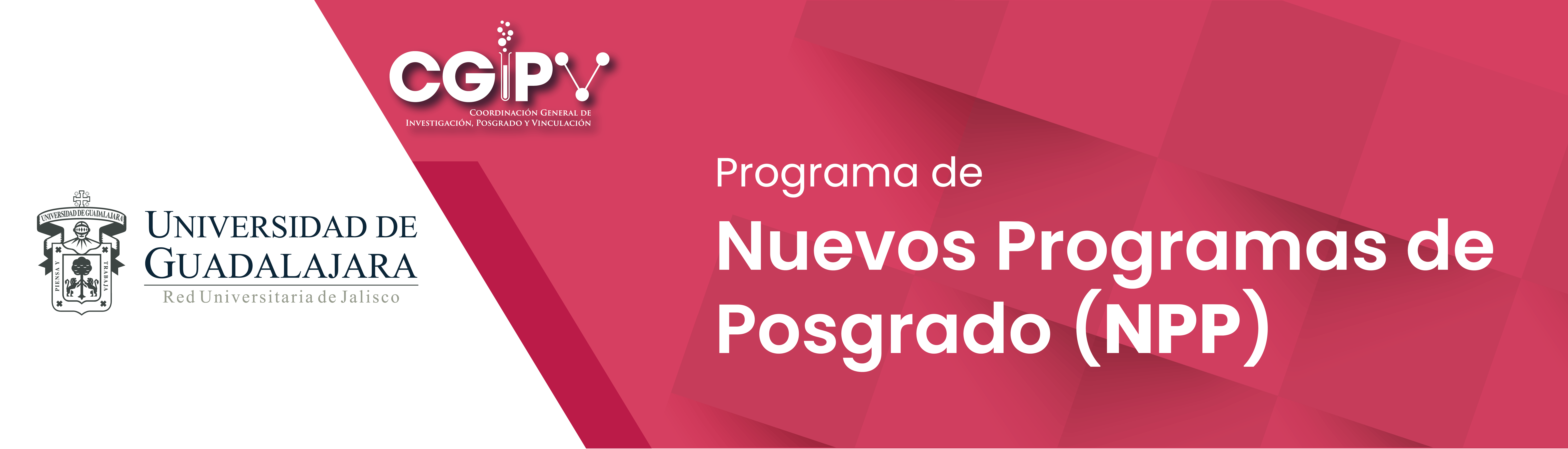 Banners CGIPV 2021 - SW-09