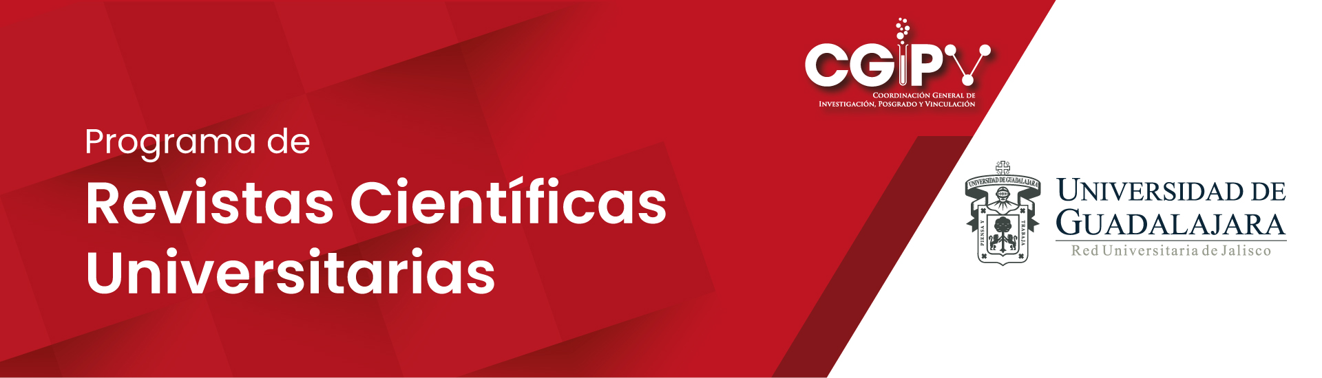 Banners CGIPV 2021 - SW-02