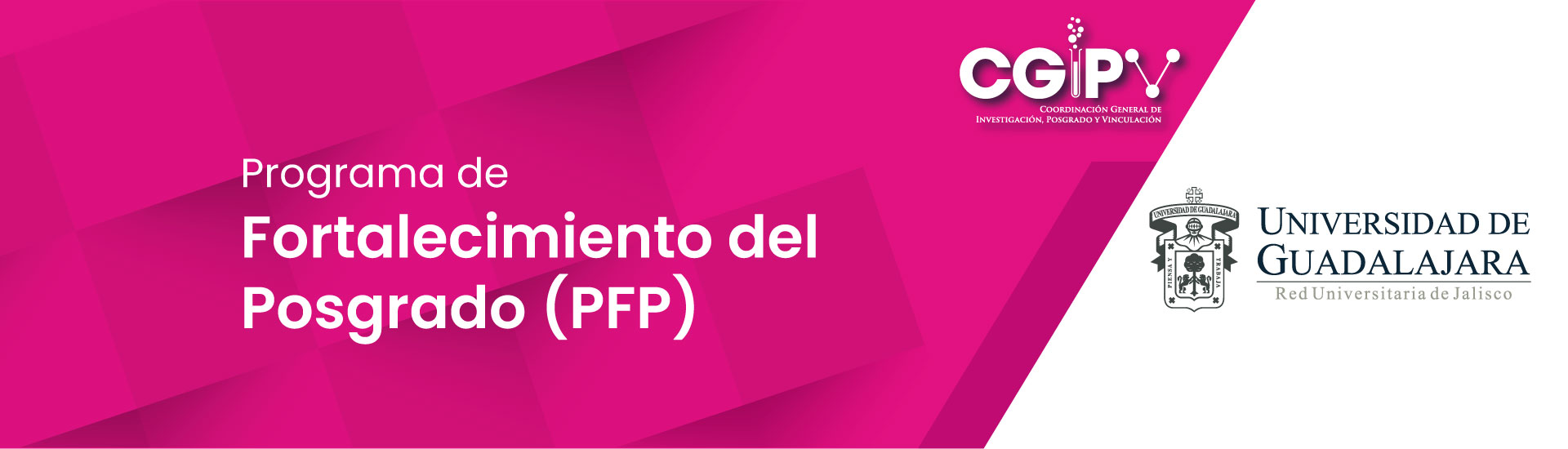 Banners CGIPV 2021 - SW-012