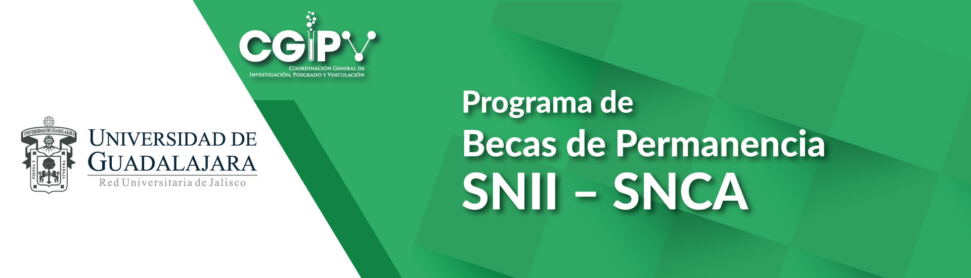 Banners CGIPV 2021 - SW-04