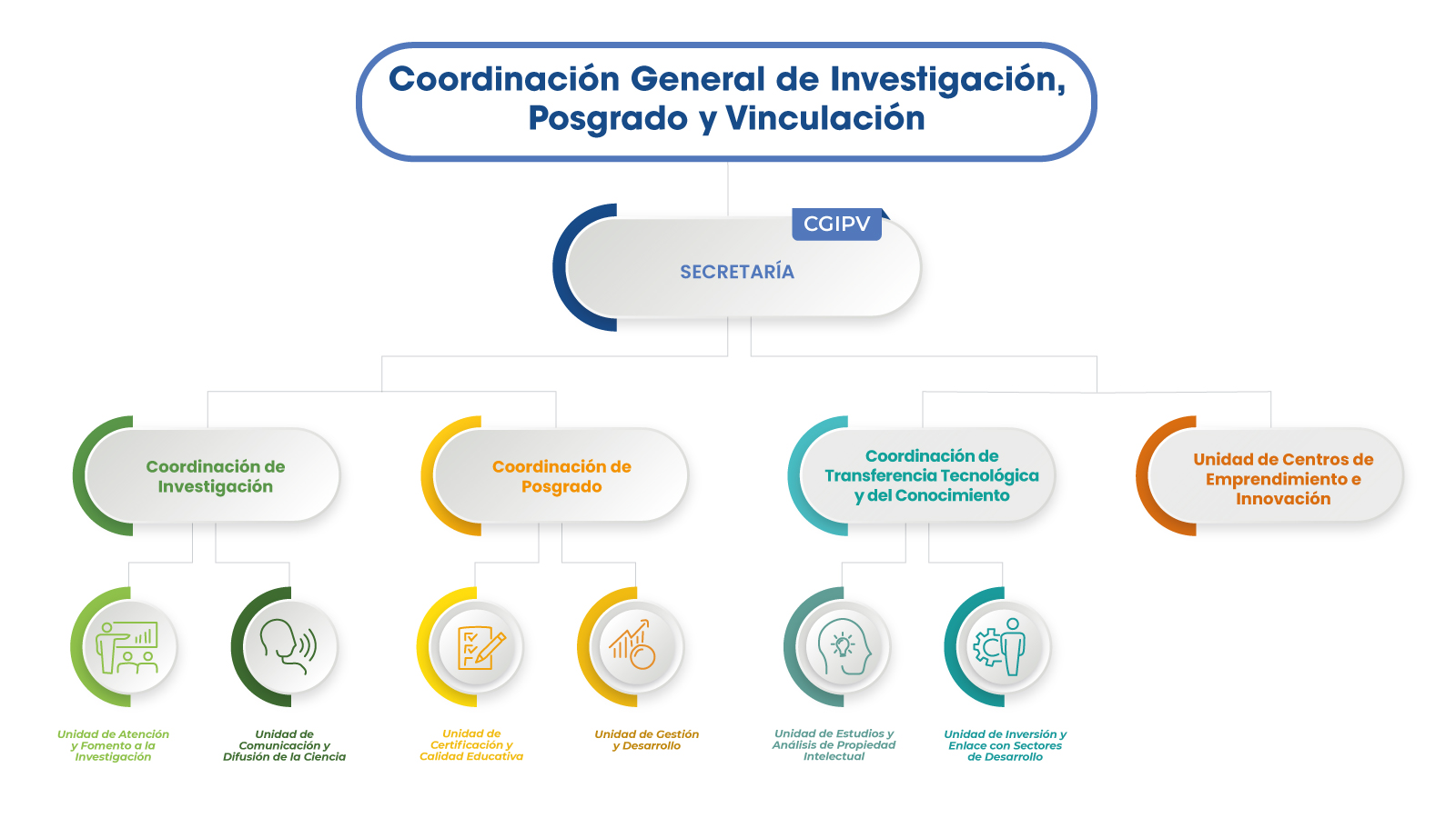Organigrama CGIPV