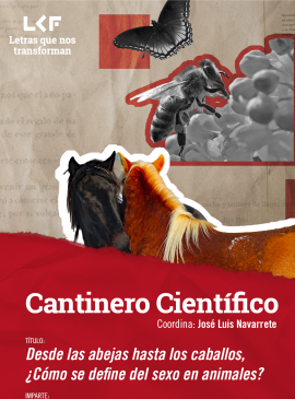 Cantinero científico