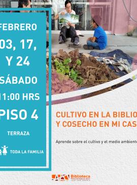 Cultivo en la biblioteca