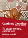 Con las patas en la tierra: arañas del suelo