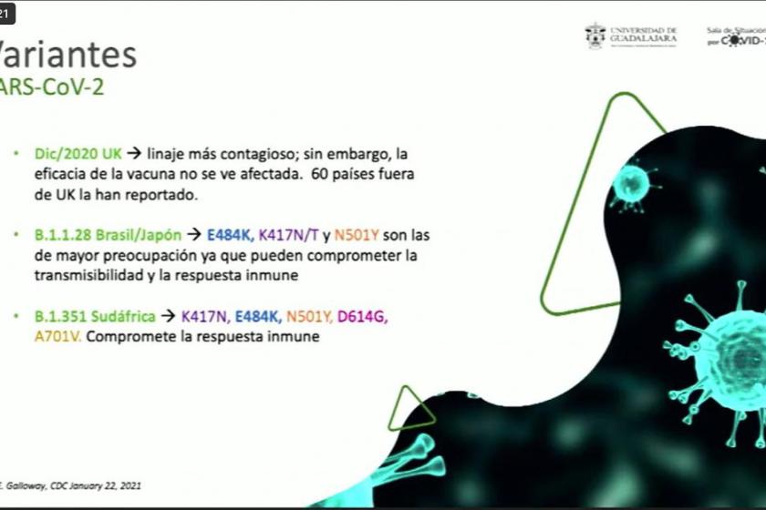  UdeG implementa Sistema de Vigilancia Epidemiológica Molecular tras identificar casos de la variante brasileña de COVID-19