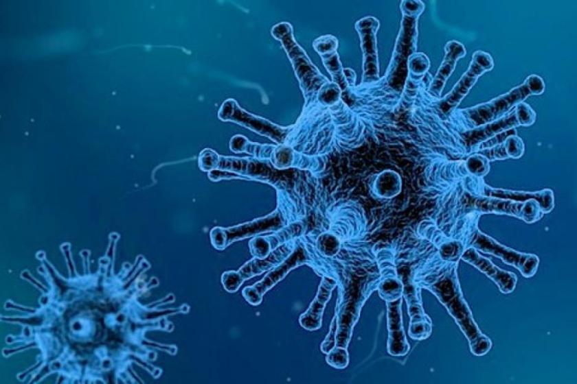  Confirma InDRE presencia de la mutación E484K detectada por la UdeG y la presencia de la variante brasileña P.2 en México
