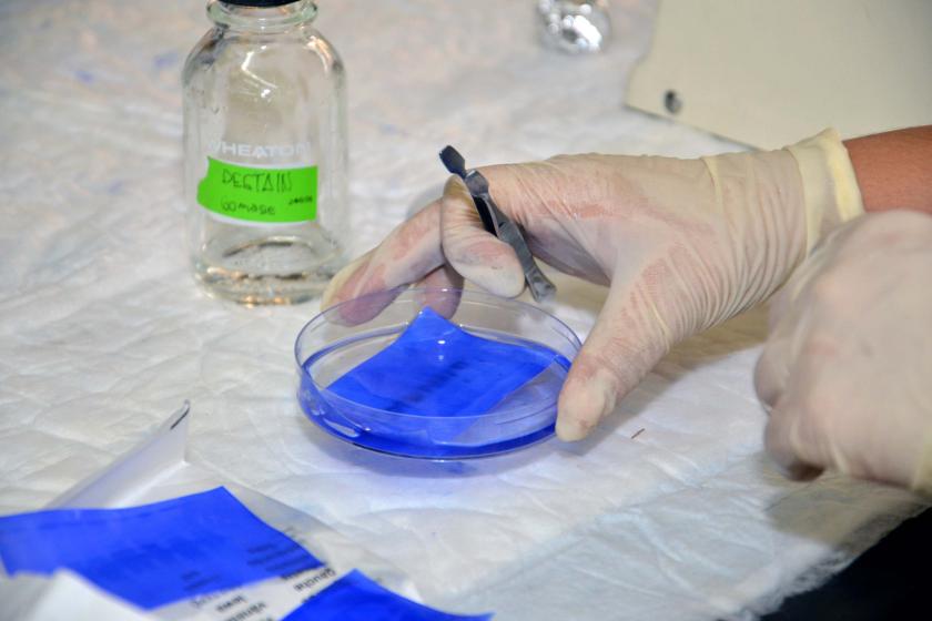 Investigación de alto nivel UdeG