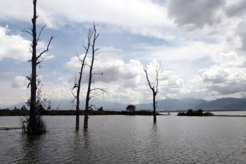 humedales del mundo