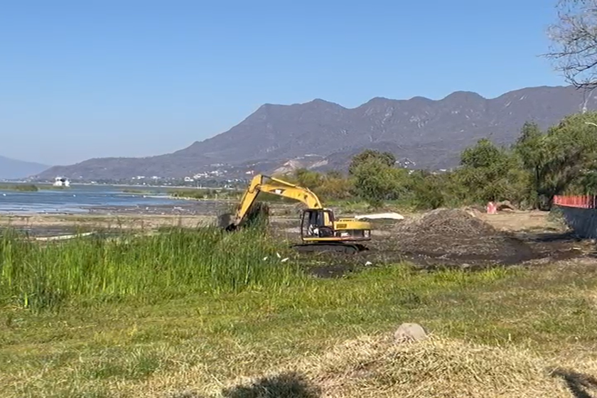 depredación de humedales en Lago de Chapala