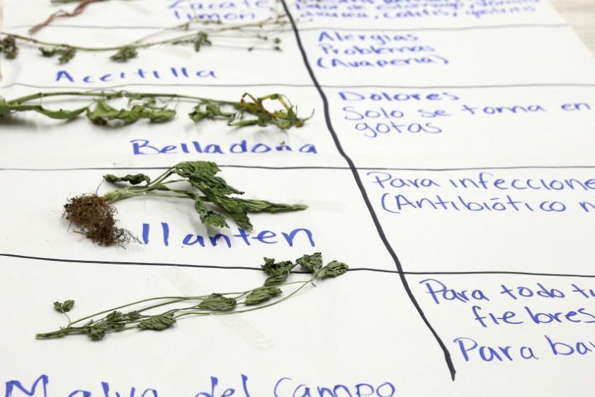 medicina tradicional