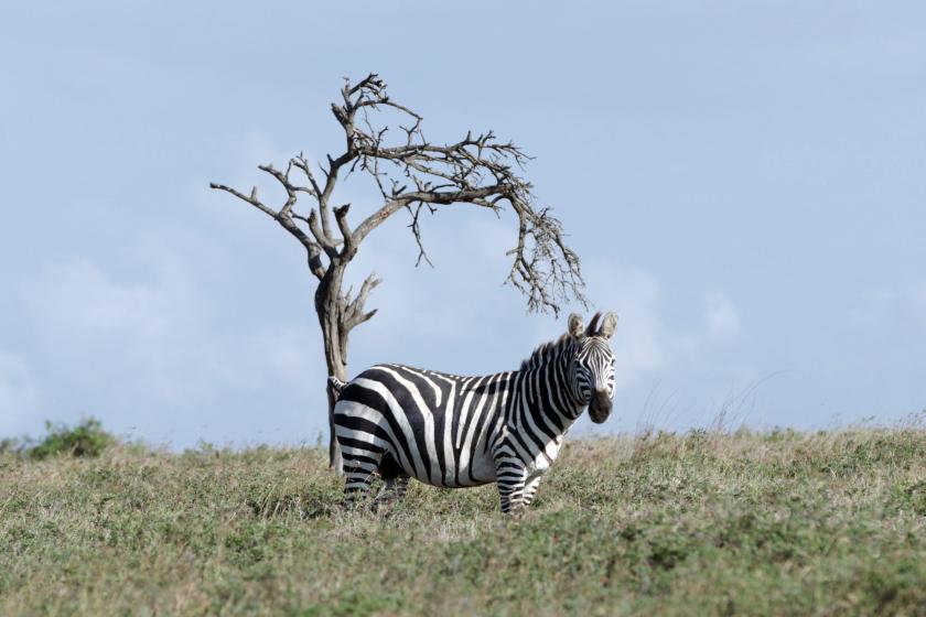 Cine Socioambiental