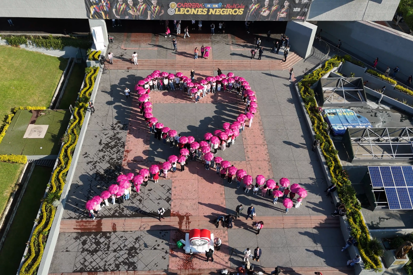 lucha contra el Cáncer de Mama