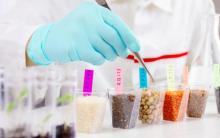 Diseñan nanoalimento que se espera pueda ayudar a diabéticos