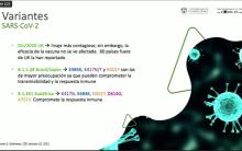  UdeG implementa Sistema de Vigilancia Epidemiológica Molecular tras identificar casos de la variante brasileña de COVID-19