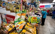  Especialista en favor de crear sellos para alertar si un producto tiene alimentos transgénicos
