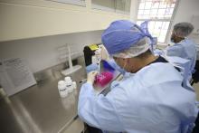 Instituto de Investigación en Genética Molecular de CUCiénega celebra su XX aniversario
