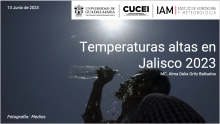 Hasta 80 por ciento de las personas con golpe de calor fallecen