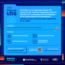 Concurso de Tesis de Posgrados 2023