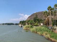 depredación de humedales en Lago de Chapala