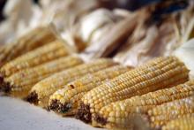 3er AgroEmprende